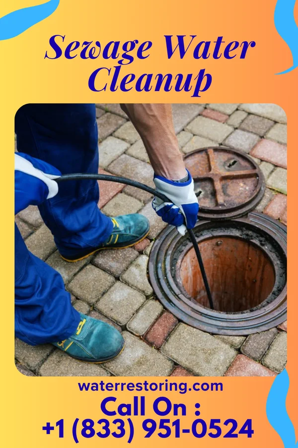 Sewage Water Cleanup in Smithville-Sanders, IN